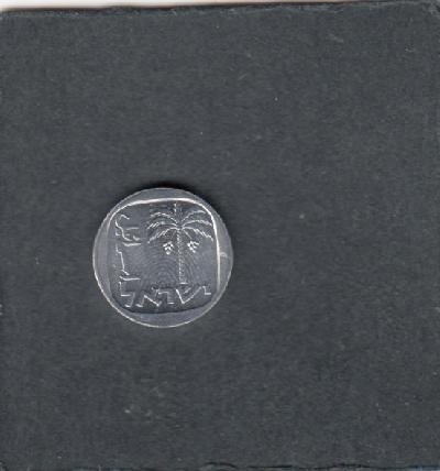 Beschrijving: 1 Agora PALM